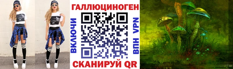 Псилоцибиновые грибы ЛСД  Новороссийск 