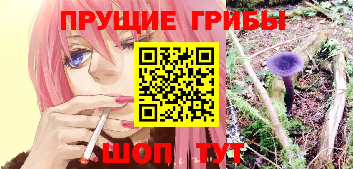 Галлюциногенные грибы MAGIC MUSHROOMS  Вход с VPN  Новороссийск 